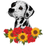 Dalmatian Roses & Sunflower Sticker