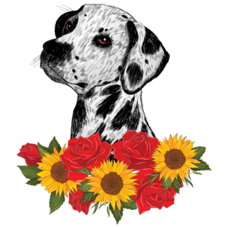 Dalmatian Roses & Sunflower Sticker