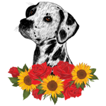 Dalmatian Roses & Sunflower Sticker