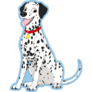 Dalmatian Sitting Blue Tongue Sticker