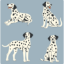 Dalmatian Sticker Sheet
