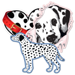 Dalmatian Thumbnail