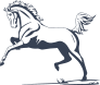 Dancing Horse Sticker