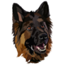 Dark German Shepherd Sticker