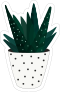 Dark Green Succulent in White Polka Dot Pot Sticker