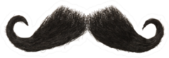 Dark Hairy Mustache Sticker