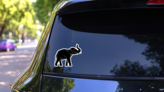 Dark Indian Elephant Sticker on a Rear Car Window (New) example