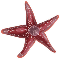 Dark Red Realistic Starfish Sticker