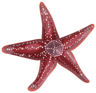 Dark Red Realistic Starfish Sticker