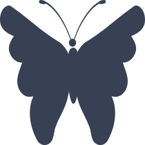 Darling Butterfly Sticker