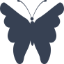 Darling Butterfly Sticker