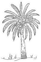 Date Fruit Palm On Sand Dunes Sticker