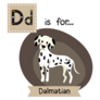 Dd Dalmatian Sticker 