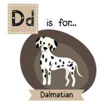 Dd Dalmatian Sticker 