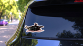 Dead Crow Illustration Sticker on a Rear Car Window (New) example