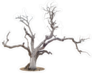 Dead Tree Sticker