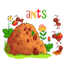 Decorative Ants Illustration Sticker