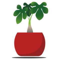 Decorative Indoor Plant Sticker