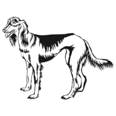 Decorative Saluki Sticker