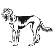 Decorative Saluki Sticker
