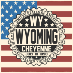 Decorative Wyoming USA Flag Sticker