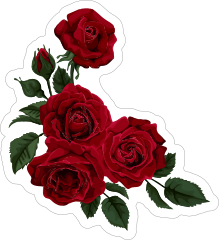Deep Red Roses Flower Stickers