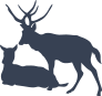 Deer And Buck Sticker