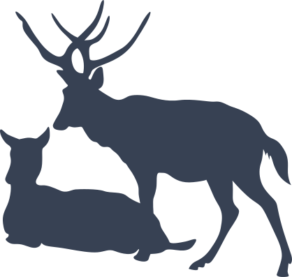 Deer And Buck Sticker