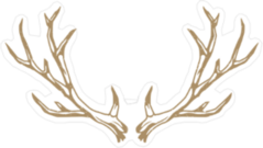 Deer Antlers Illustration Sticker