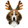 Deer Beagle Christmas Sticker