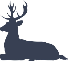 Deer Buck Laying Down Sticker