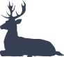 Deer Buck Laying Down Sticker