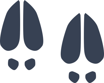 Deer Footprints Sticker