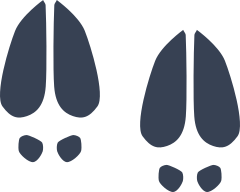 Deer Footprints Sticker