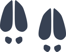 Deer Footprints Sticker