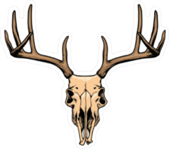 Deer Skull Illustration Sticker