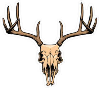 Deer Skull Illustration Sticker