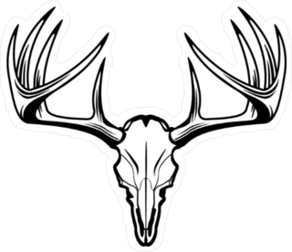Deer Skull Vector Sticker