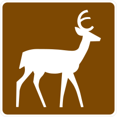 Deer Sticker