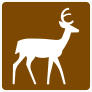 Deer Sticker