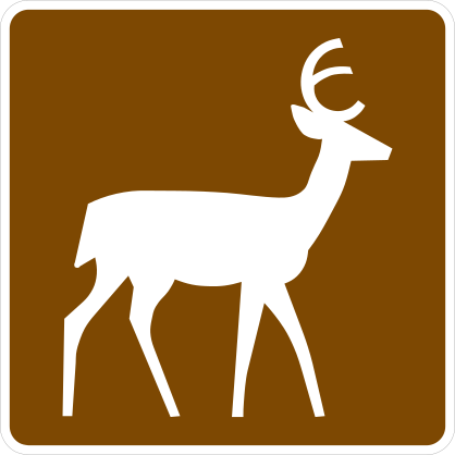 Deer Sticker