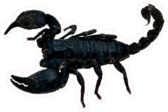 Defensive Scorpion Sticker