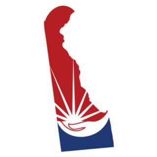 Delaware Care Logo Sticker