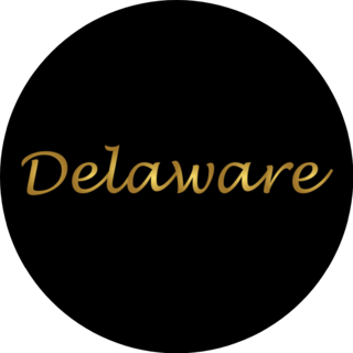 Delaware Logo Gold Lettering Sticker