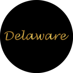 Delaware Logo Gold Lettering Sticker