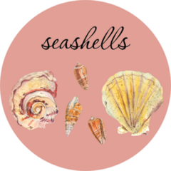 Delicate Drawing Of Seashells Watercolor Text Sticker