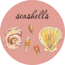 Delicate Drawing Of Seashells Watercolor Text Sticker