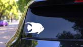 Delicate Fish Sticker on a Rear Car Window (New) example