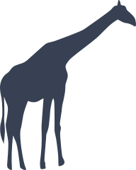 Delicate Giraffe Sticker