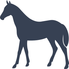 Delicate Horse Sticker
